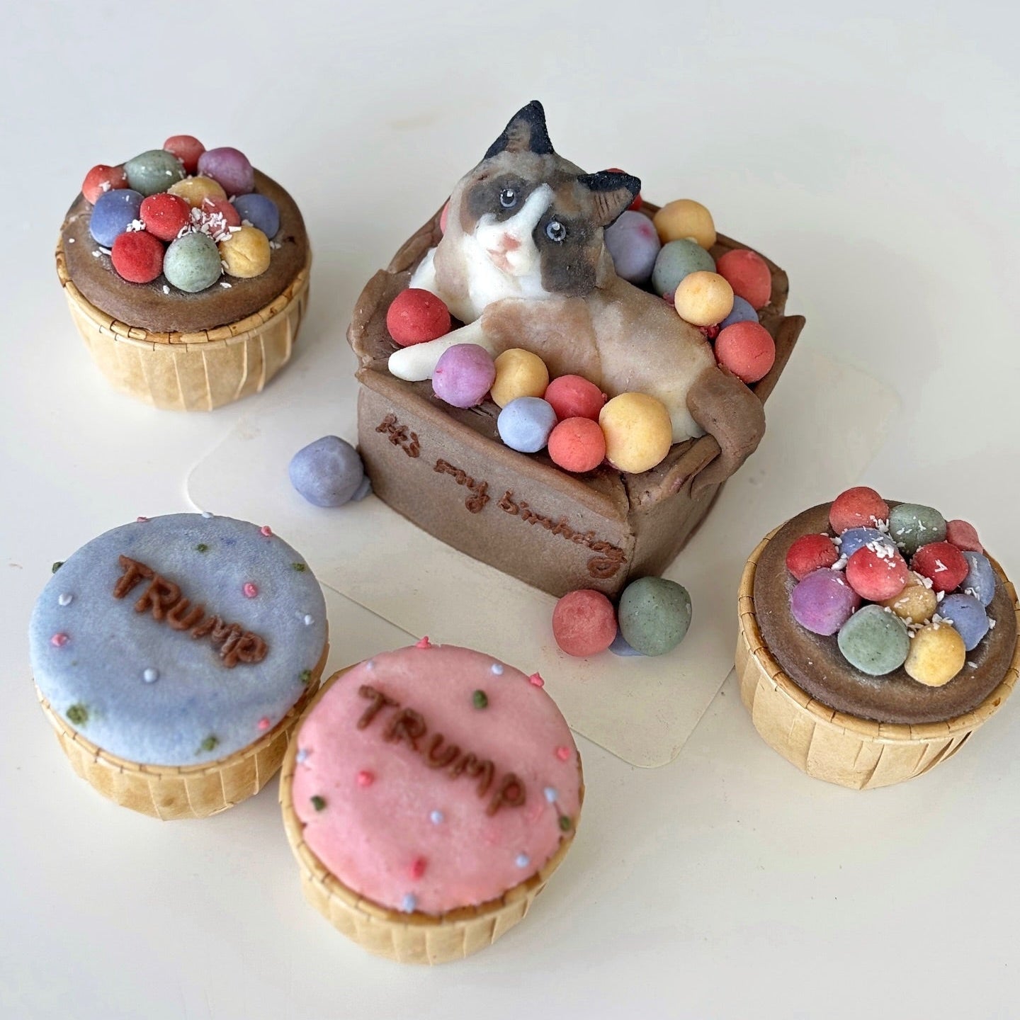 Let’s Pawty Bundle