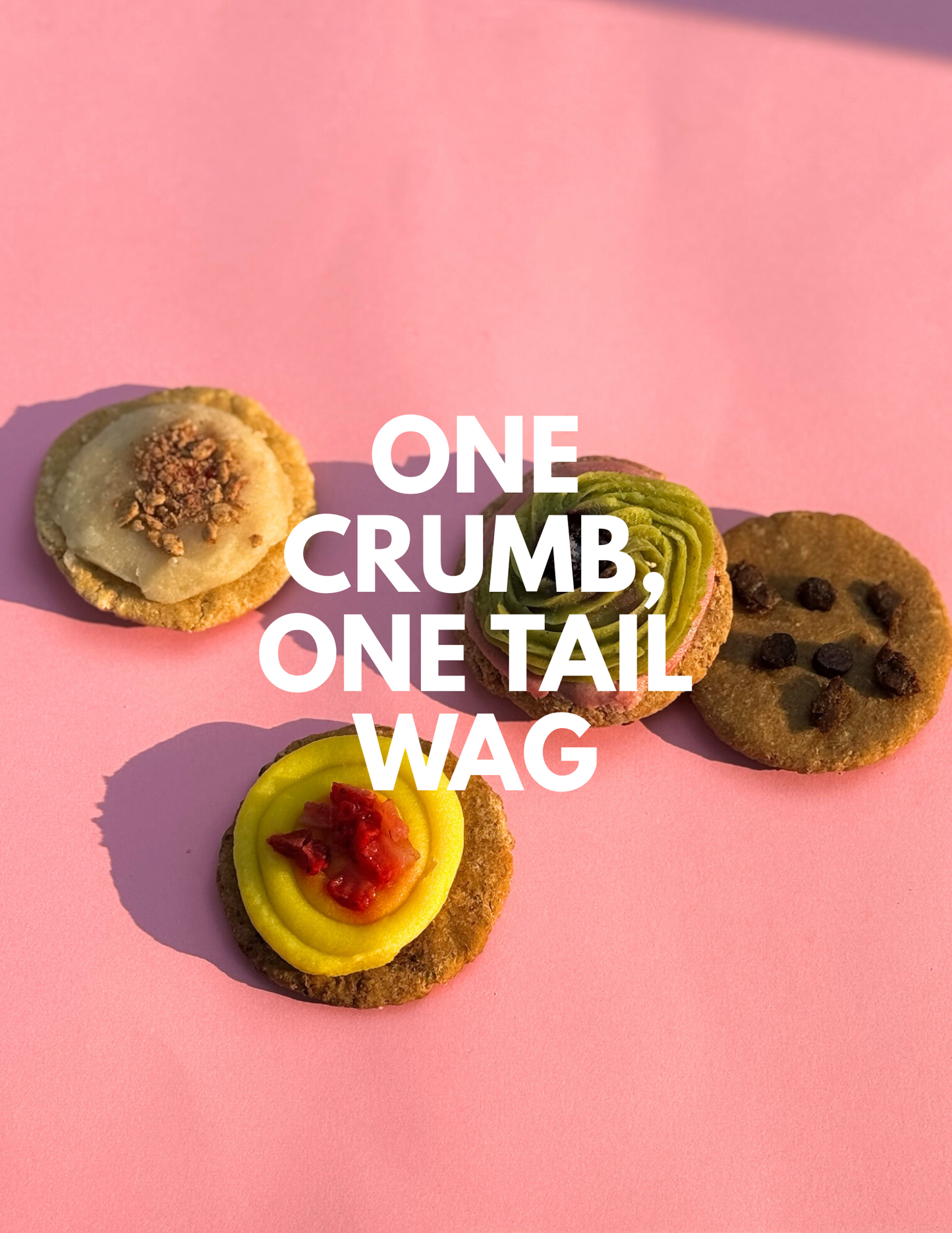 Colorful cookies on a pink background with text 'ONE CRUMB, ONE TAIL WAG'.