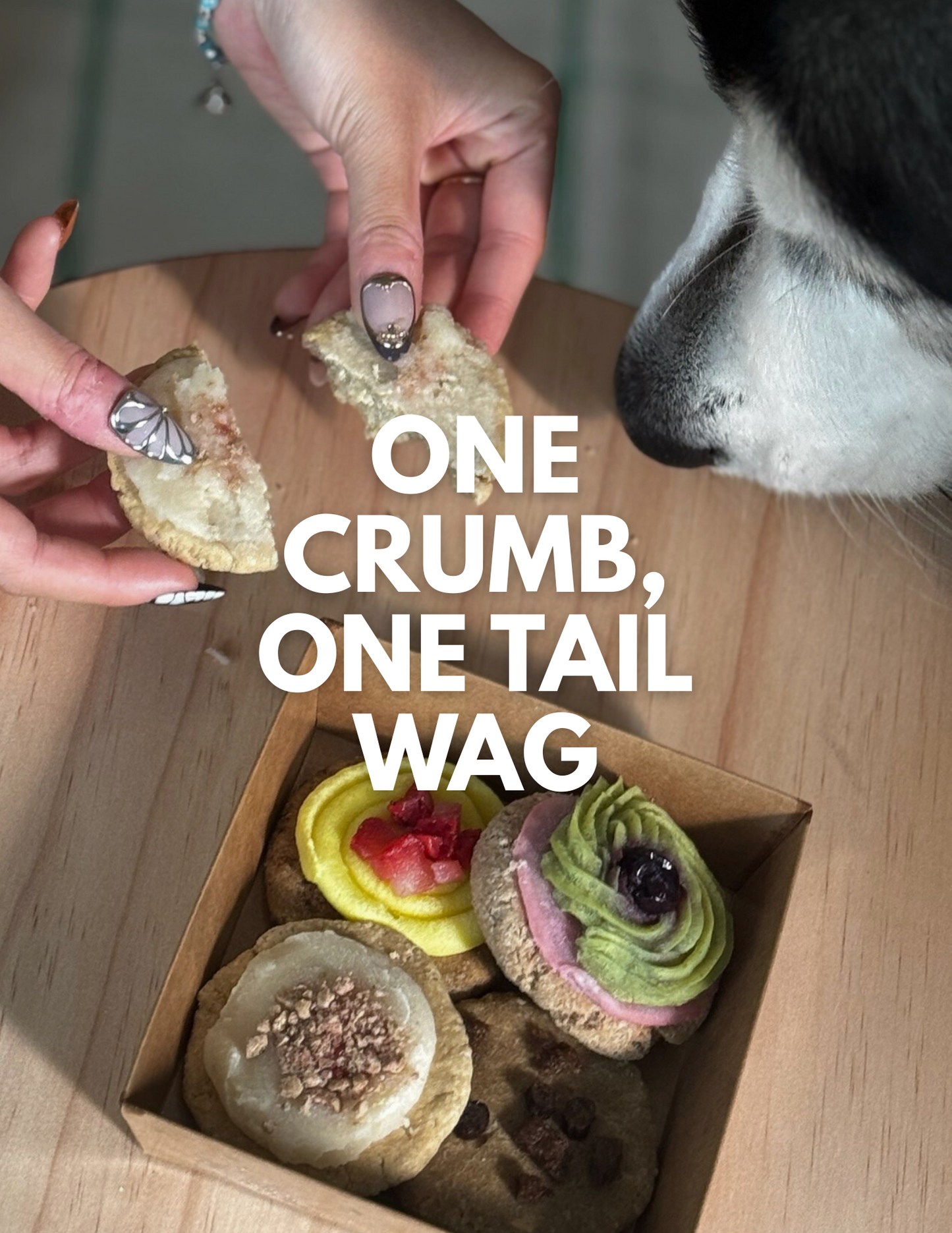 Person offering a crumb to a dog with text 'One crumb, one tail wag' over a box of small pastries.