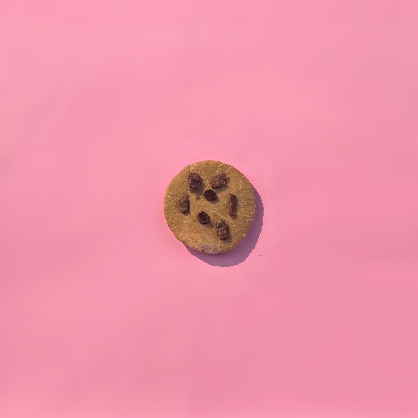The Cookies (Single Pack) – Freshly Made Dog-Friendly Crumble ~70g