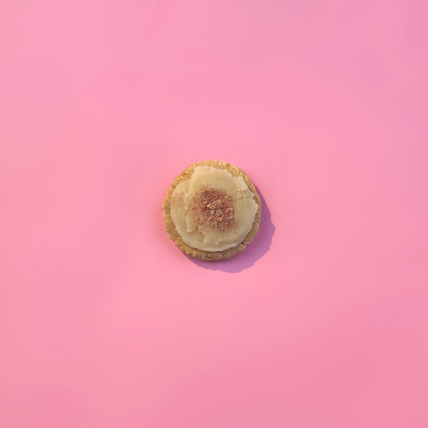 The Cookies (Single Pack) – Freshly Made Dog-Friendly Crumble ~70g