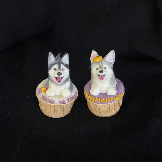 Halloween Cupcakes Set