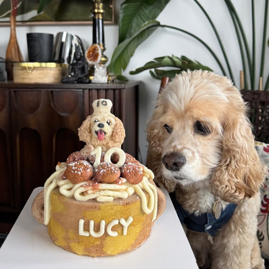 Customized Cake