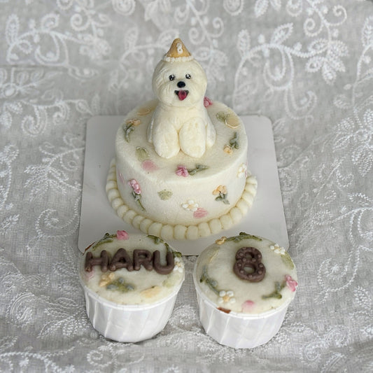 Let’s Pawty Bundle