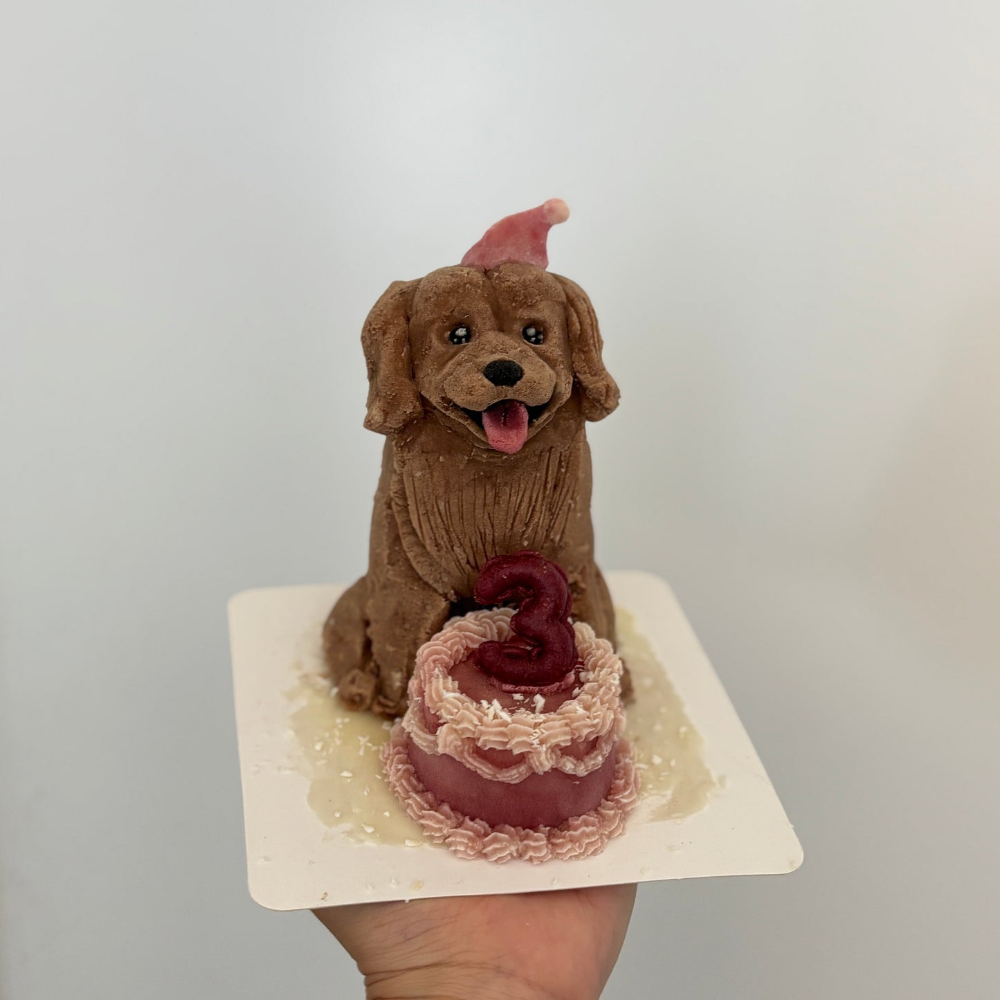 Dog Meets Cake