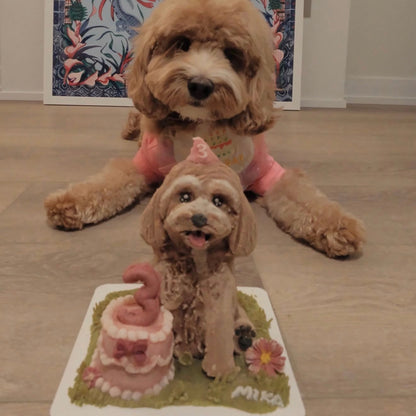 Dog Meets Cake