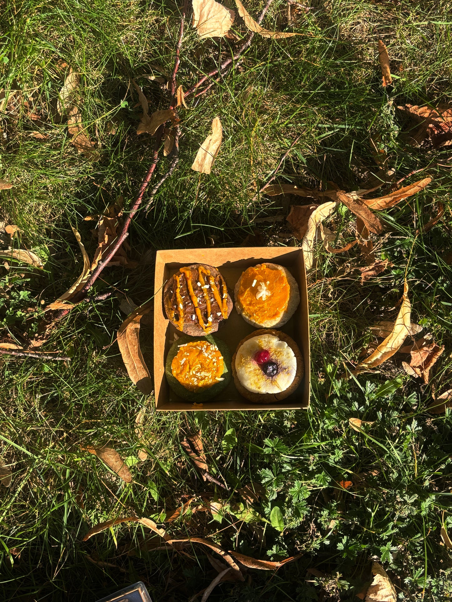 The Cookies Flight – Dog-Friendly Crumble Box(Freshly Made, 300g)