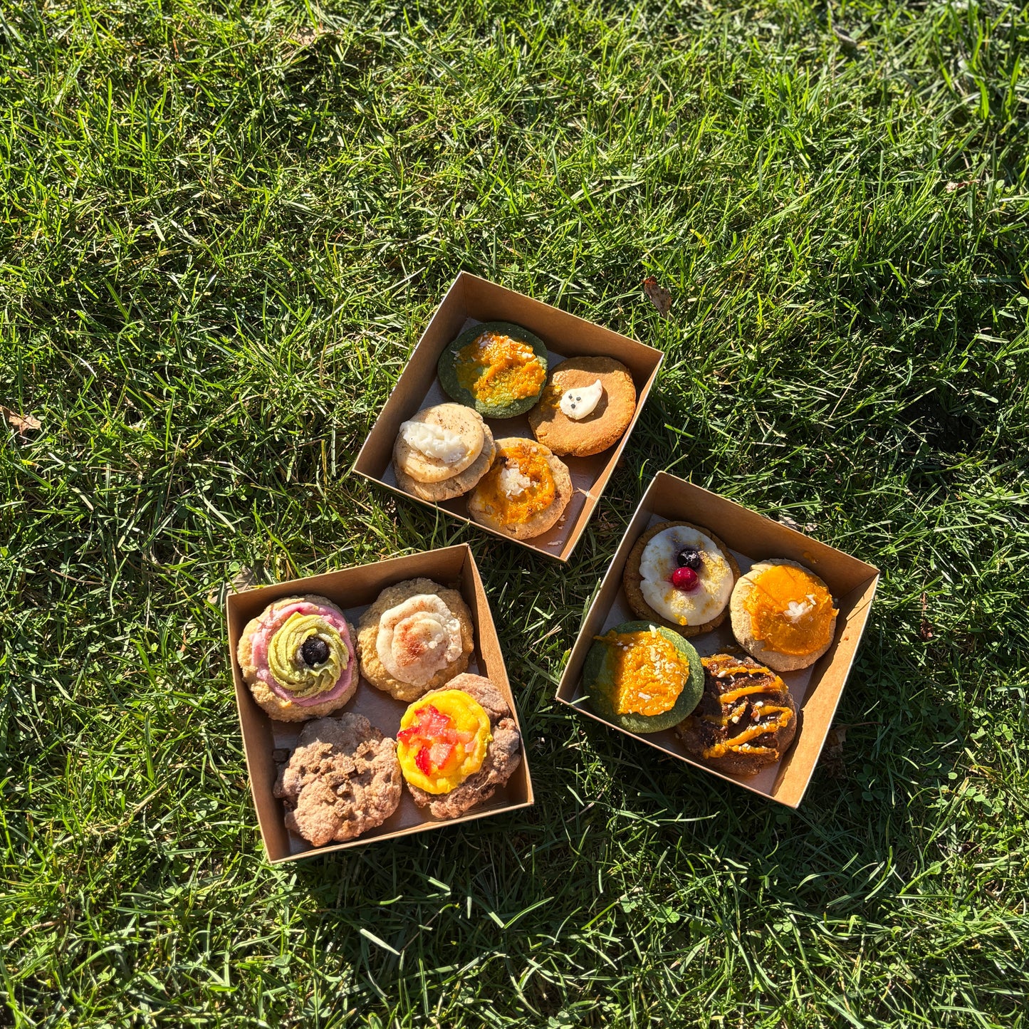 The Cookies Flight – Dog-Friendly Crumble Box(Freshly Made, 300g)